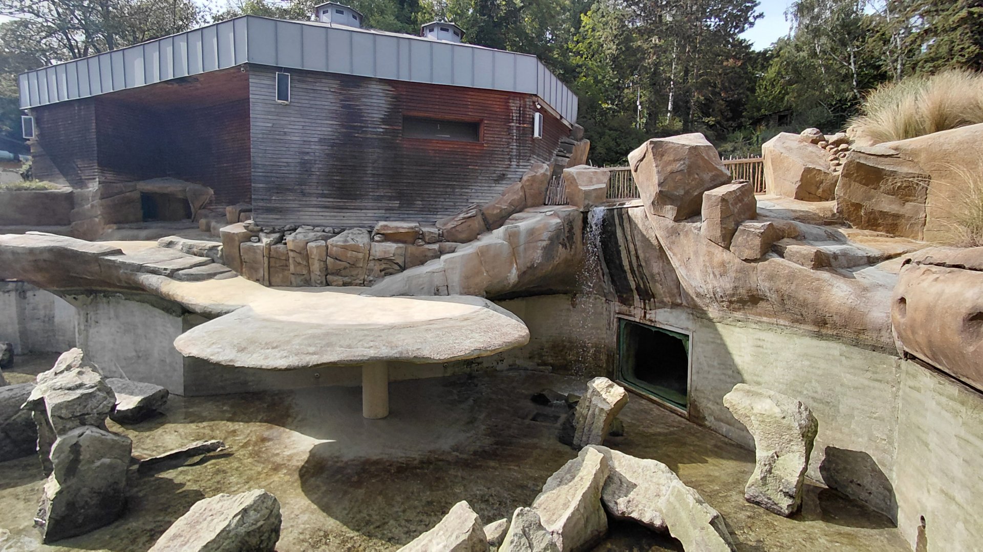 African penguin exhibit