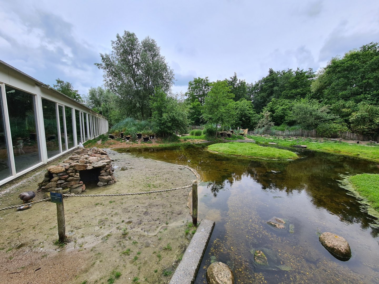 African penguin & Flying steamer duck enclosure