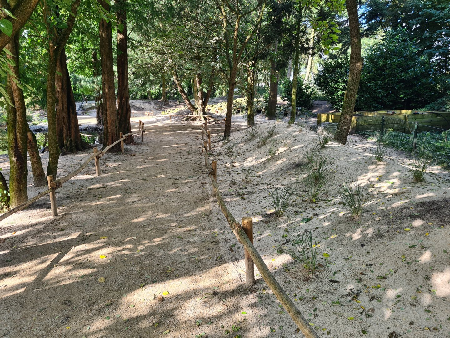 African penguin habitat "Boulders Beach"