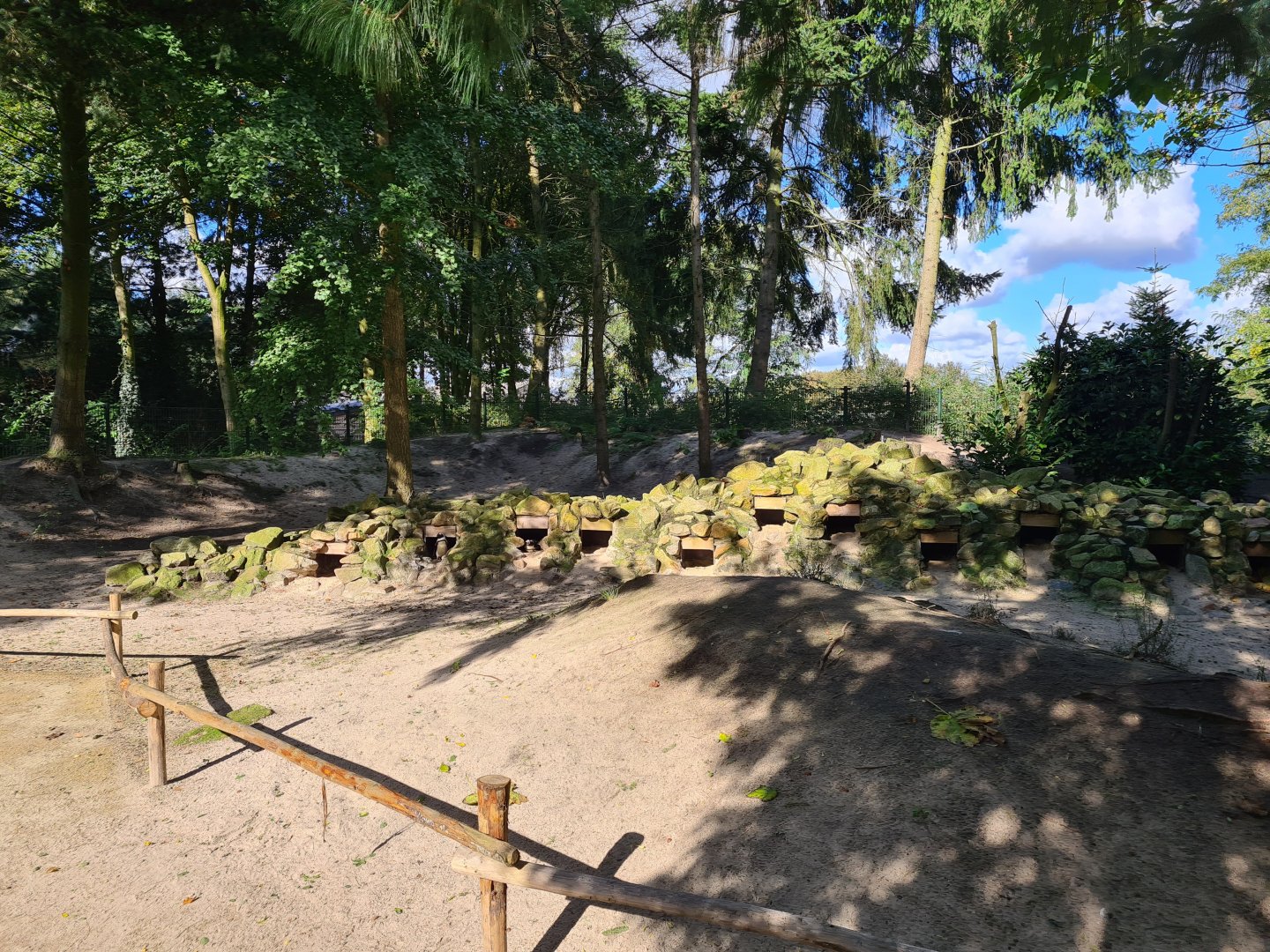 African penguin habitat "Boulders Beach"