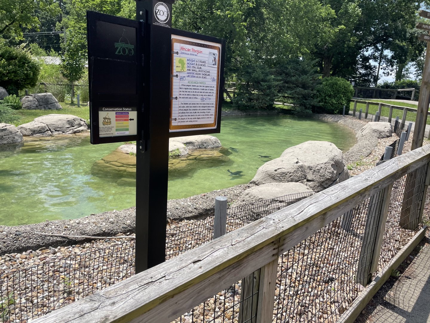 African Penguin habitat