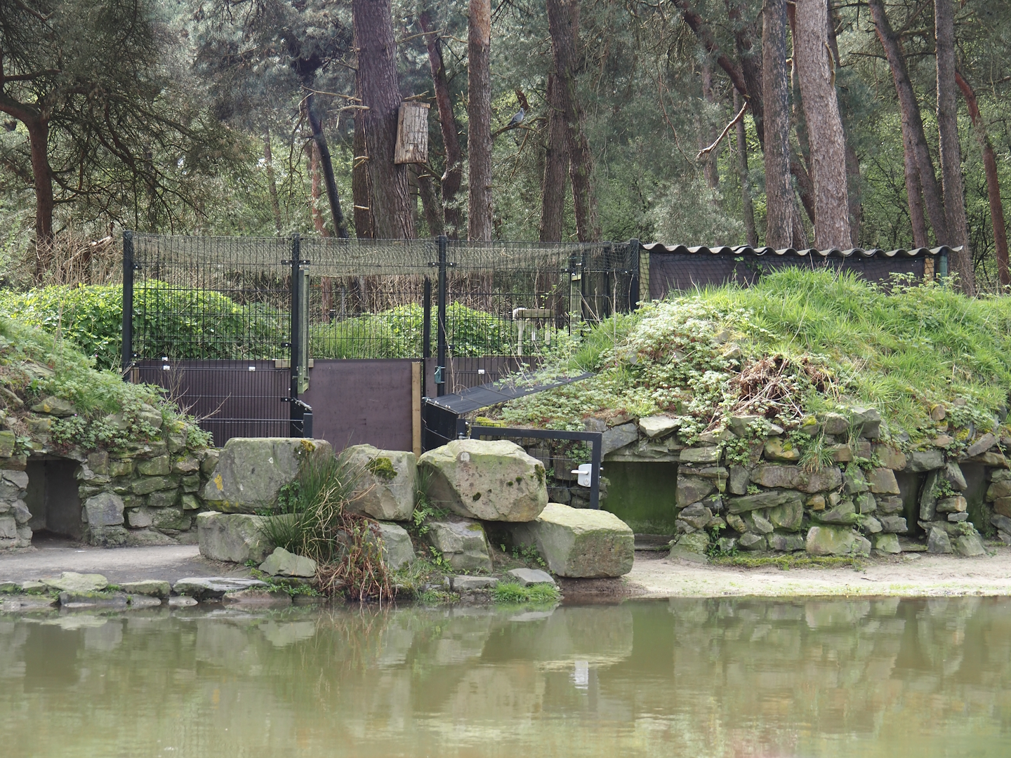 African penguin holding area, 2024-04-06