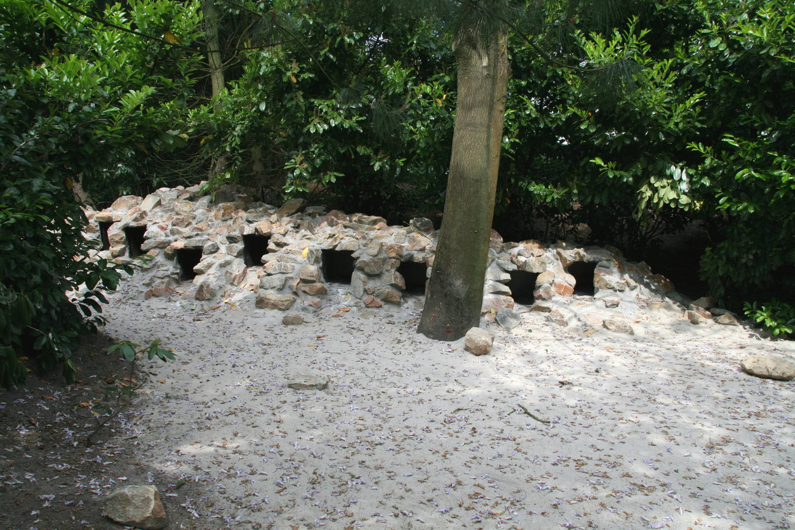 African penguin nestboxes