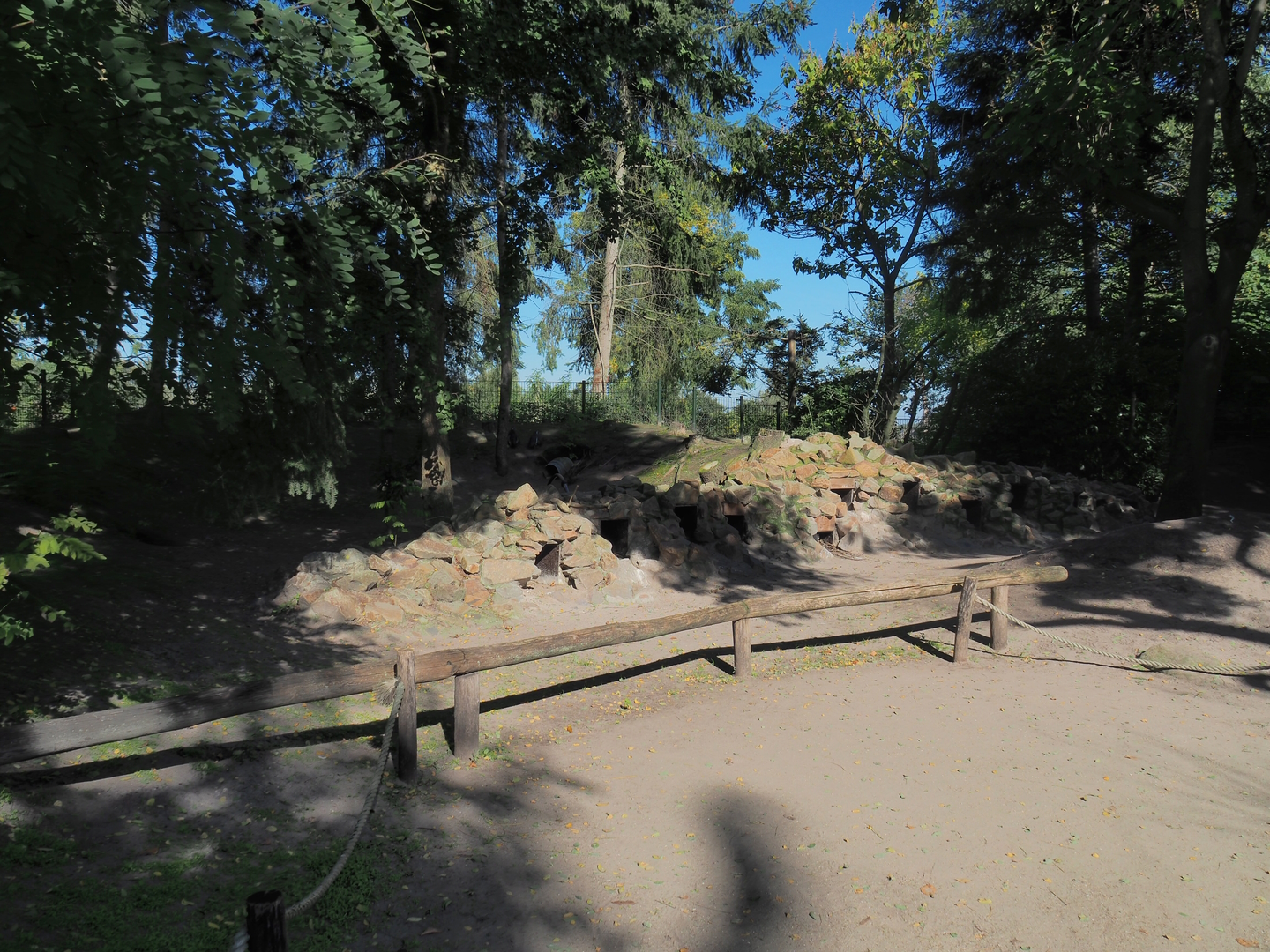 African penguin nesting area, 2022-10-09