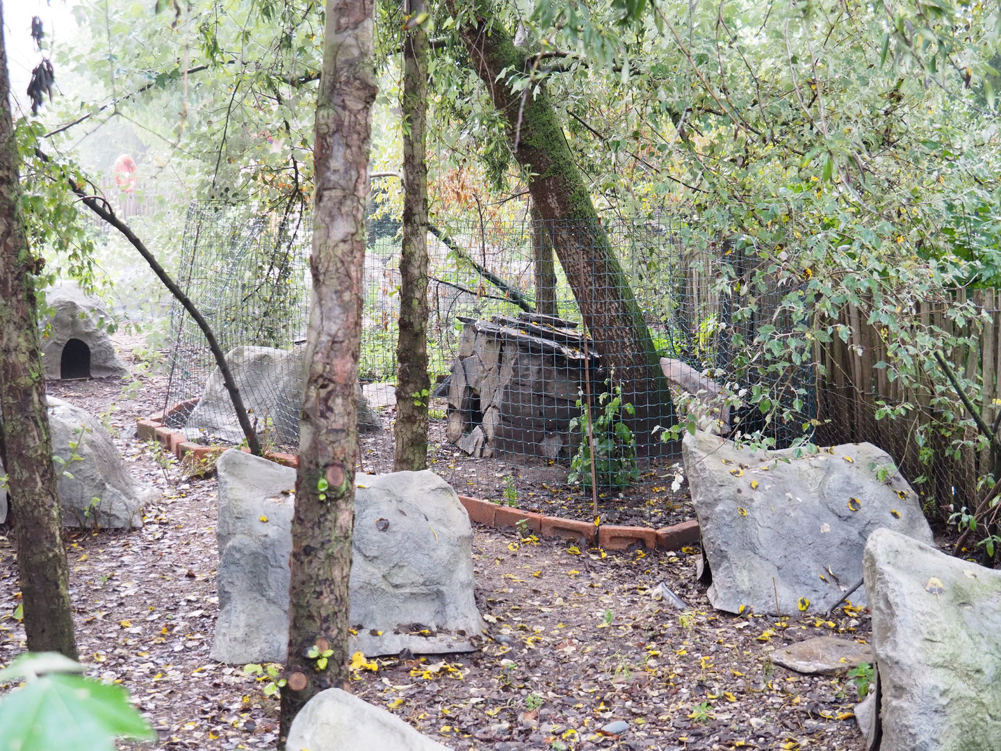 African penguin nesting area with separated zone, 2022-09-15