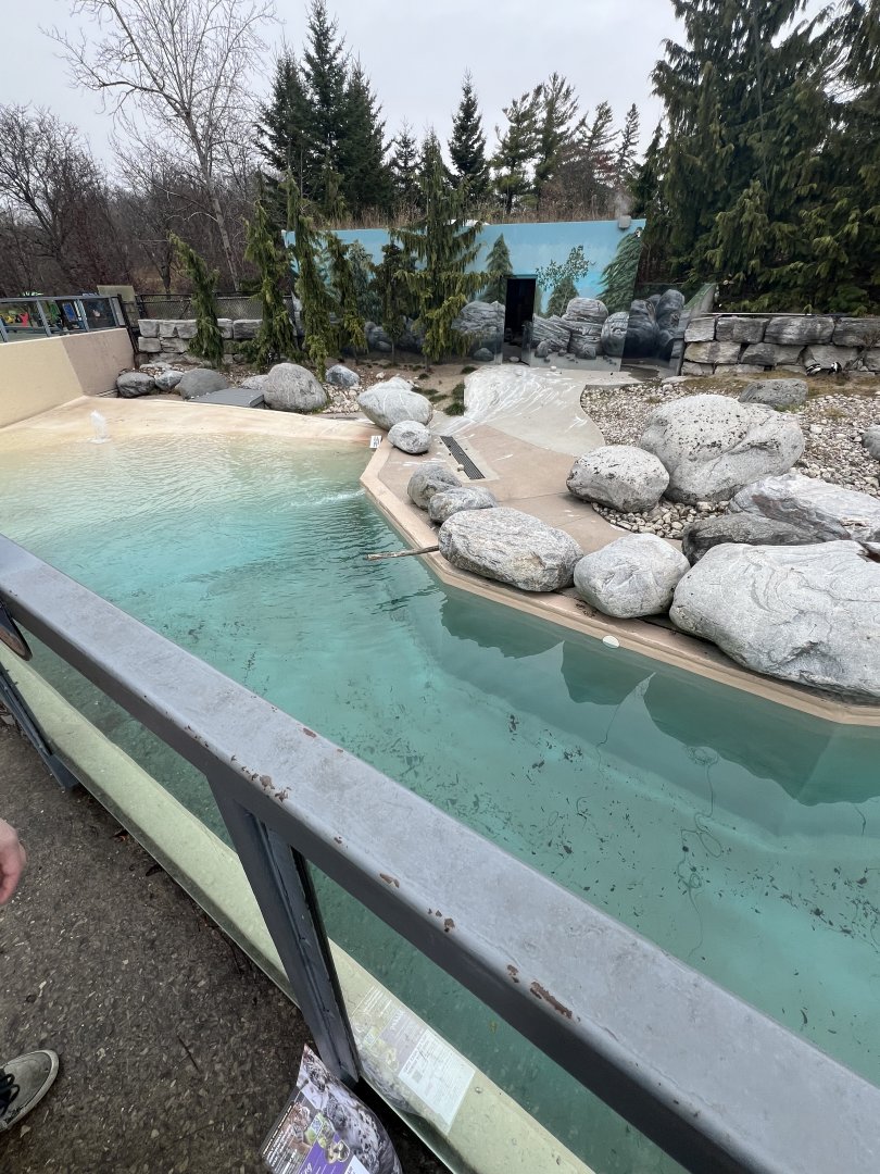 African Penguin Outdoor Exhibit