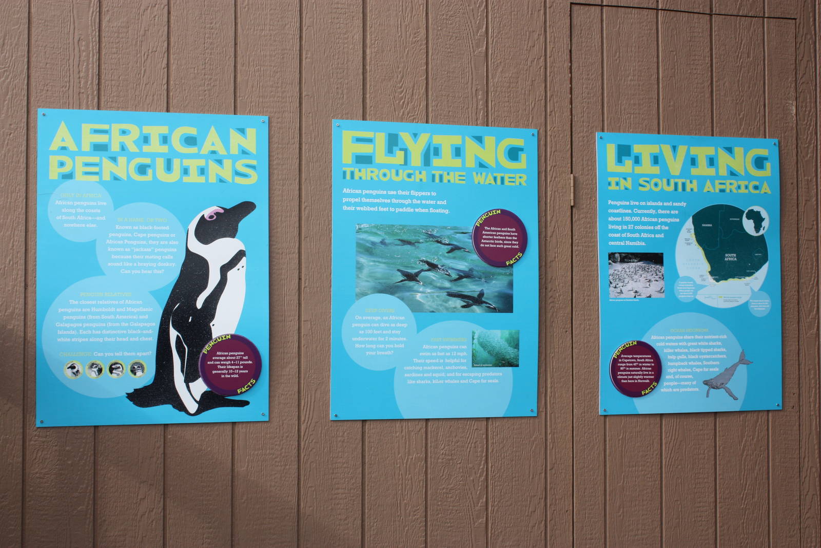 African Penguin Signage