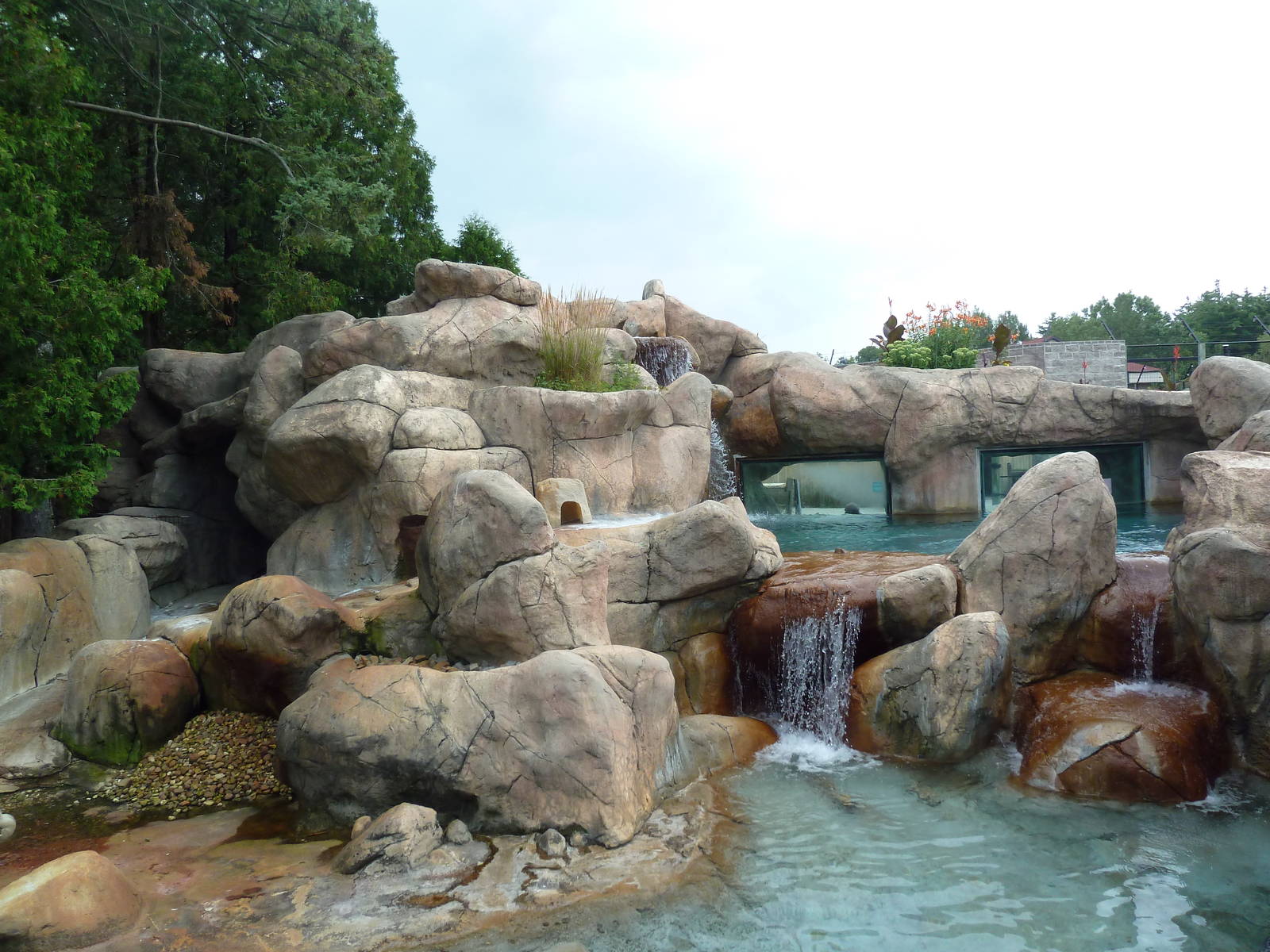 African Penguin/South African Shelduck Exhibit