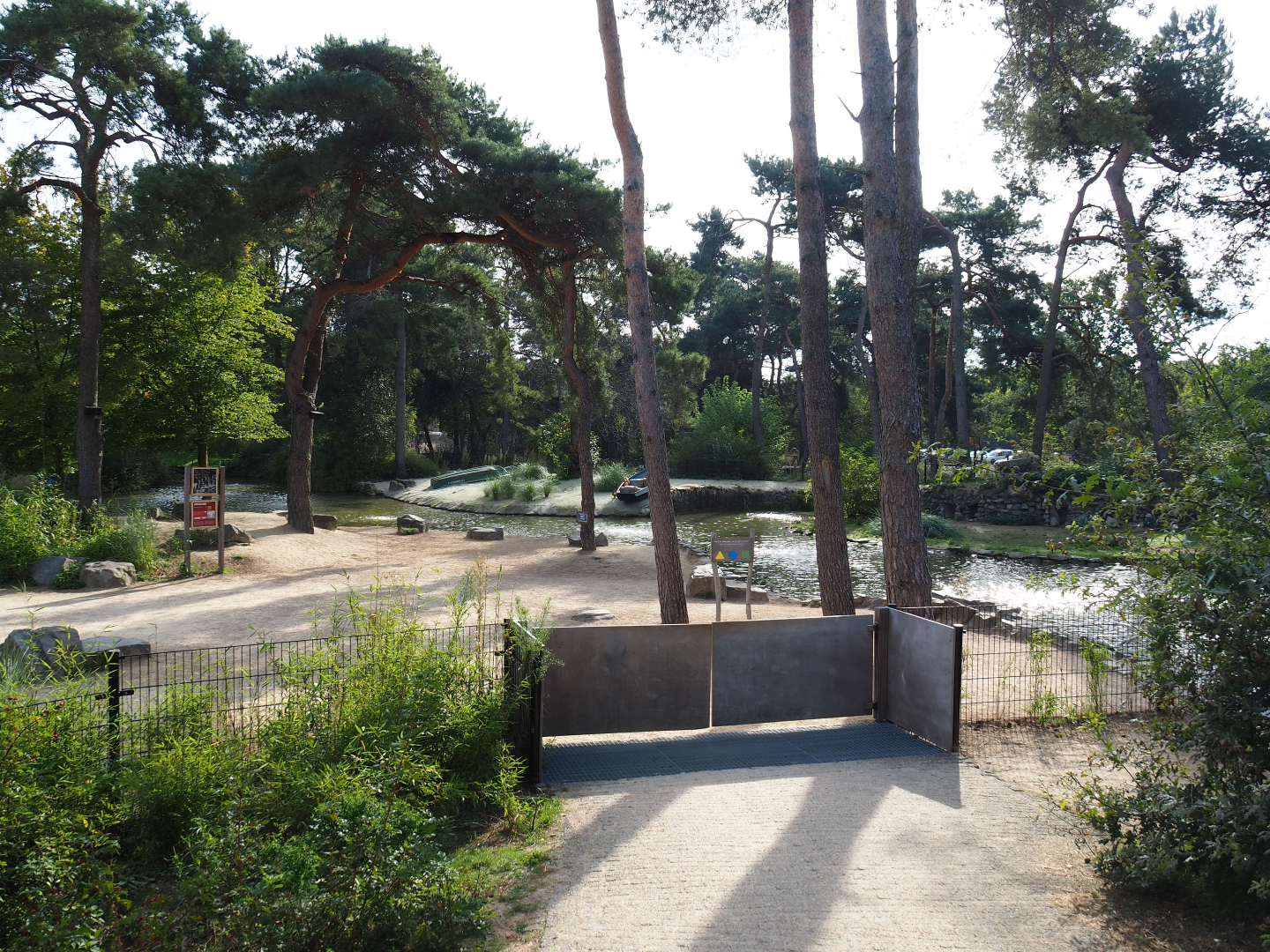 African penguin walk-through area, 2019-09-15