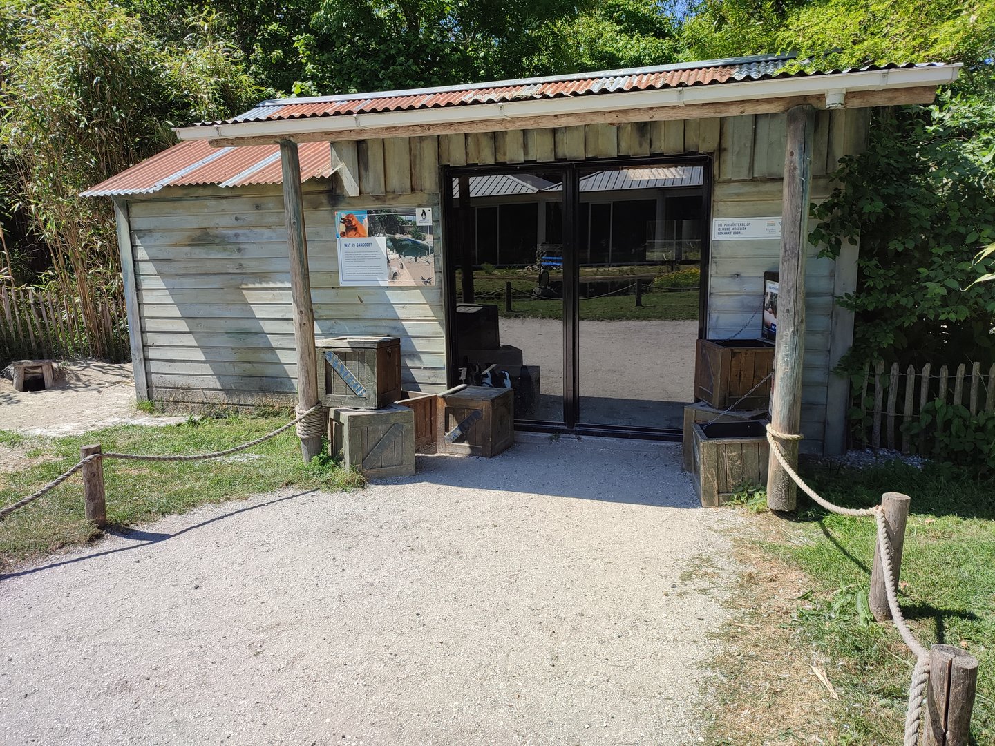 African penguin walk-through enclosure - indoor enclosure