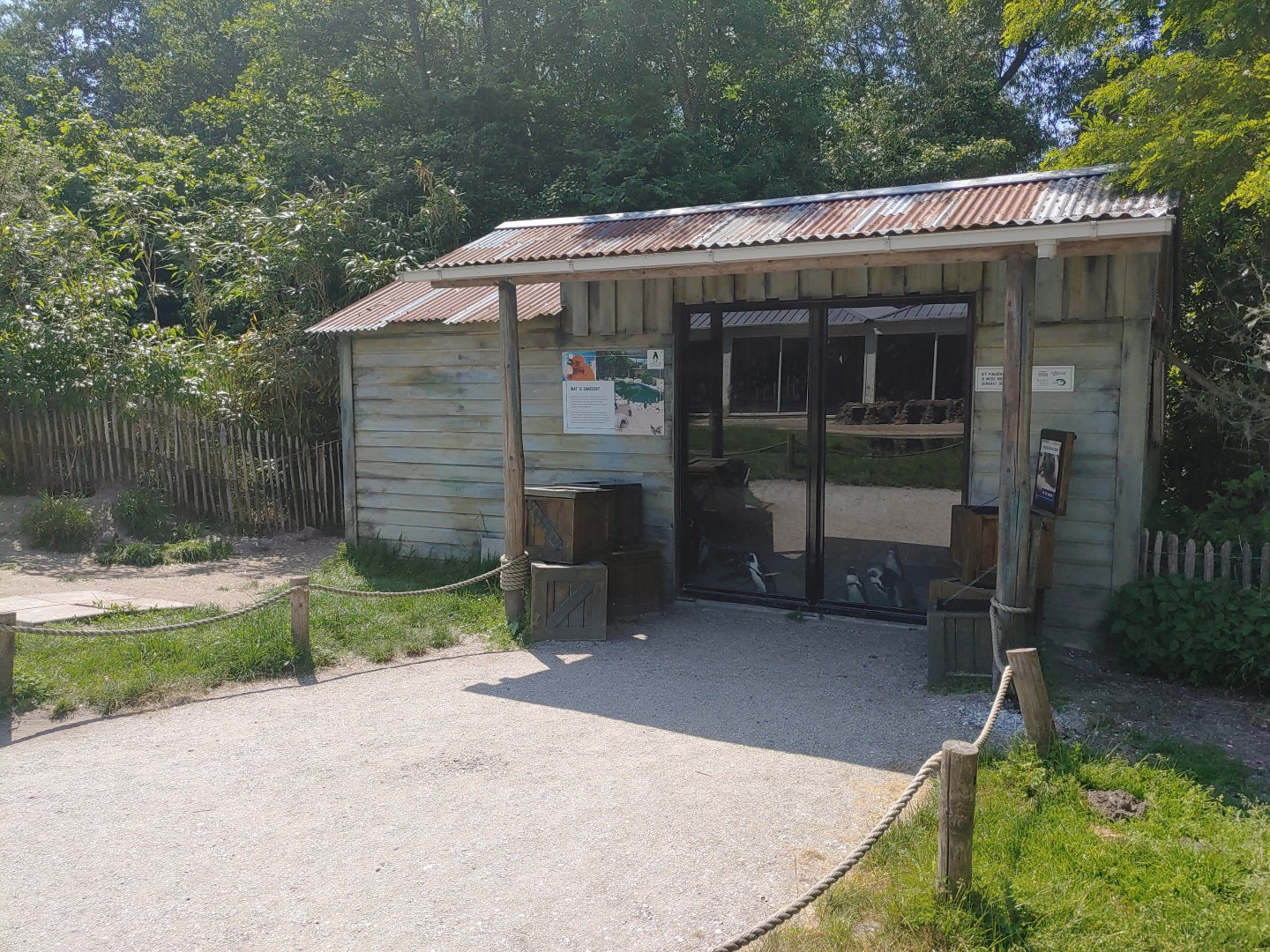 African penguin walkthrough enclosure - indoor enclosure