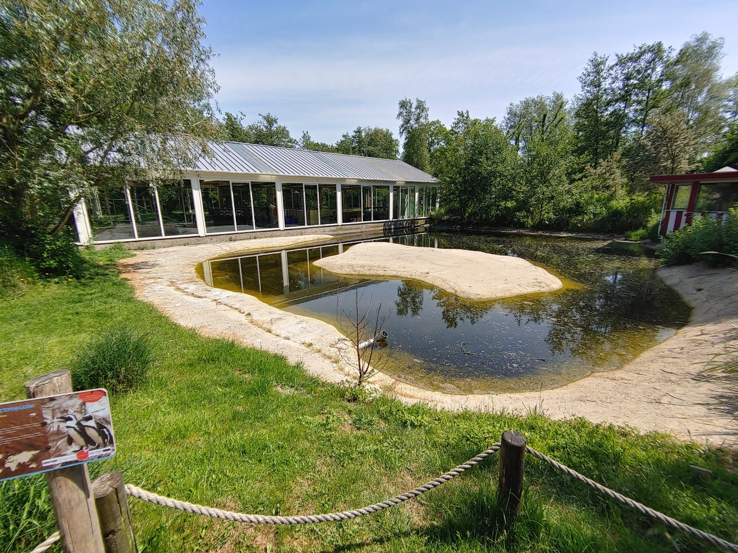 African penguin walkthrough enclosure - second part