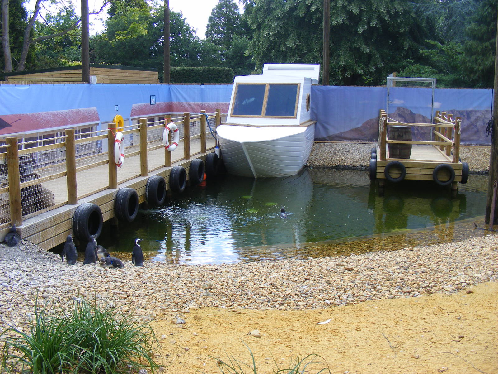 African penguins at Birdworld, 1 July 2011