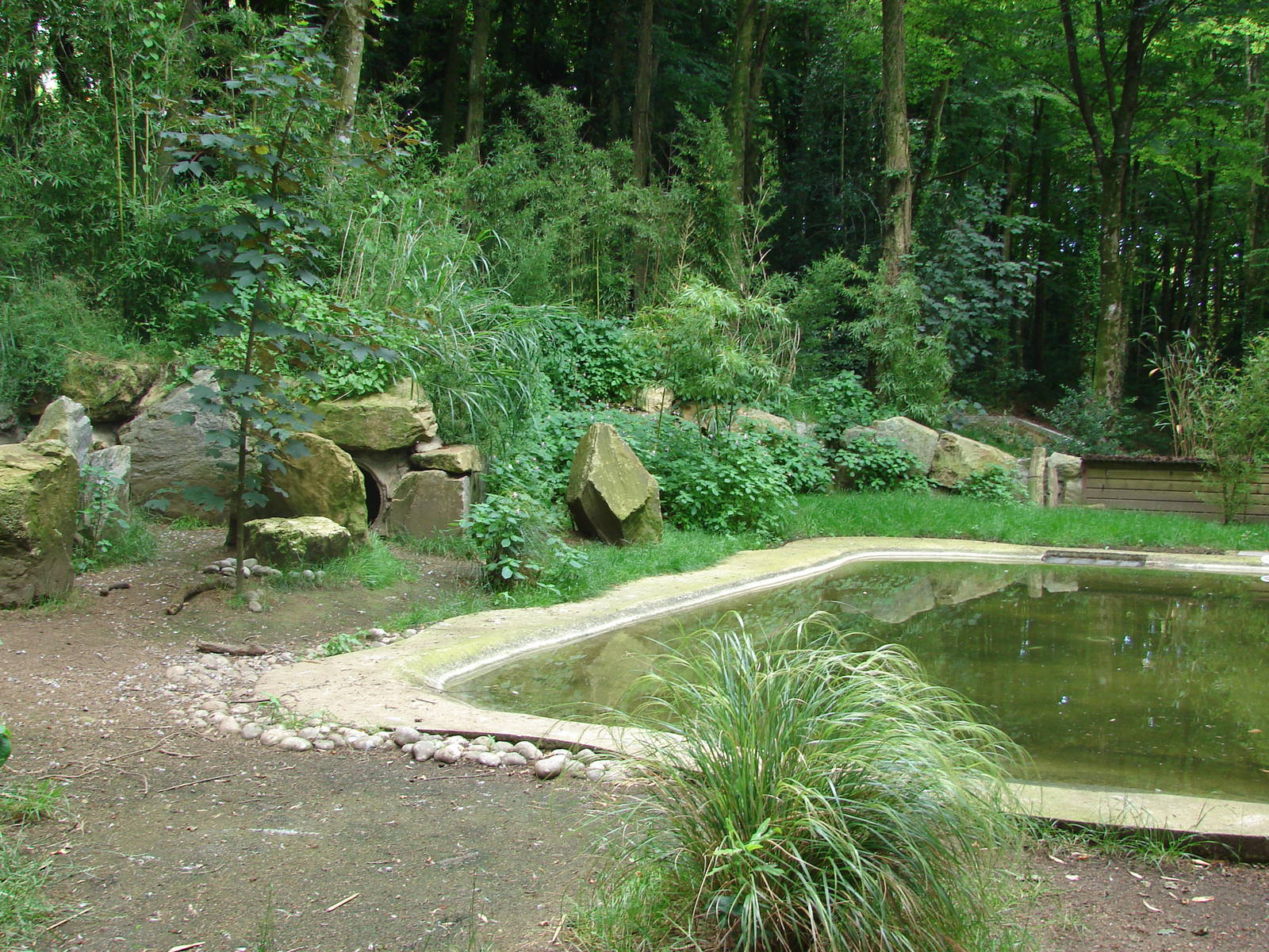 African penguins exhibit