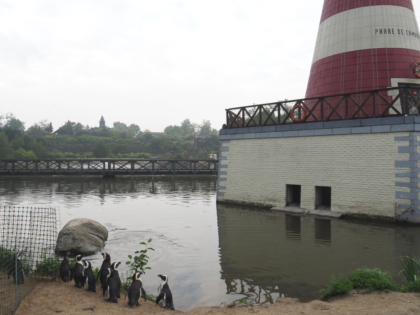 African penguins on beach and base of lighthouse with harbor seal holding areas, 2022-09-15