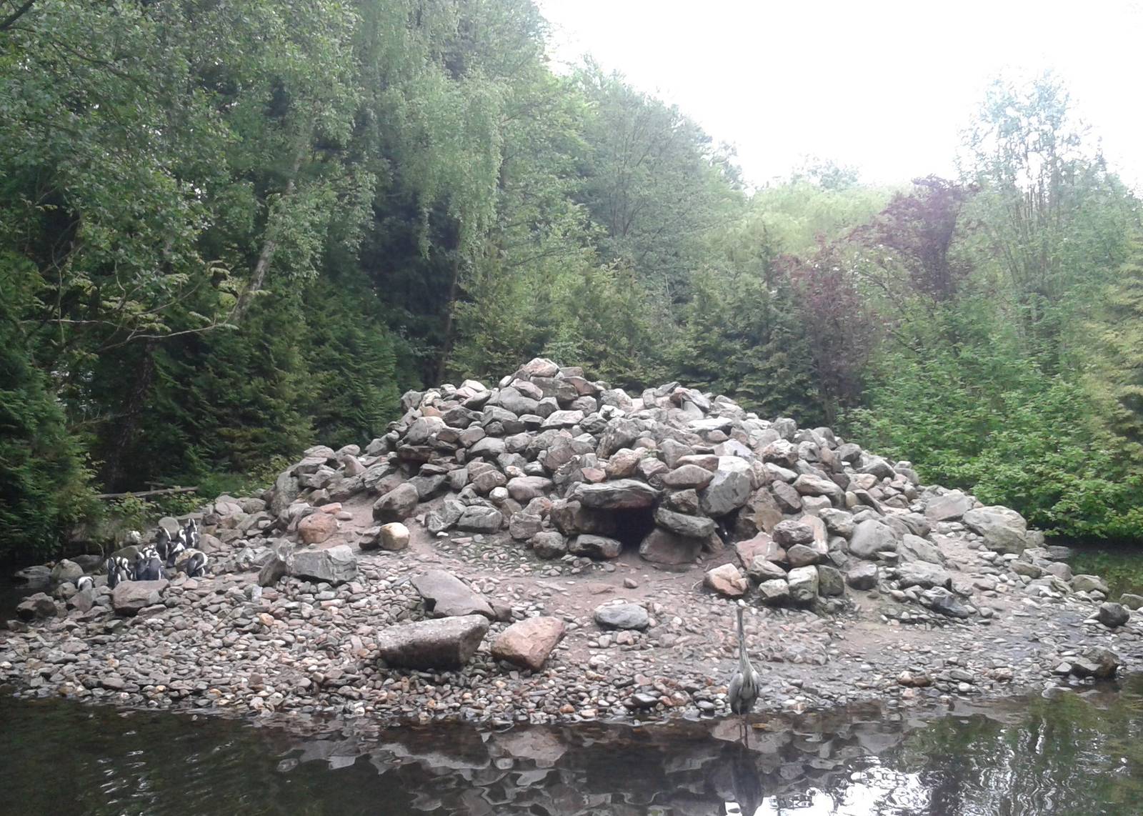 African pinguin enclosure