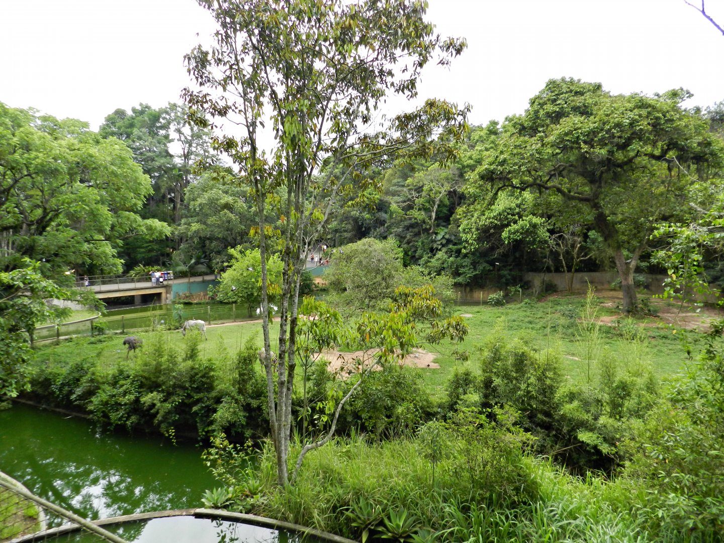 African plain exhibit - Zoo São Paulo