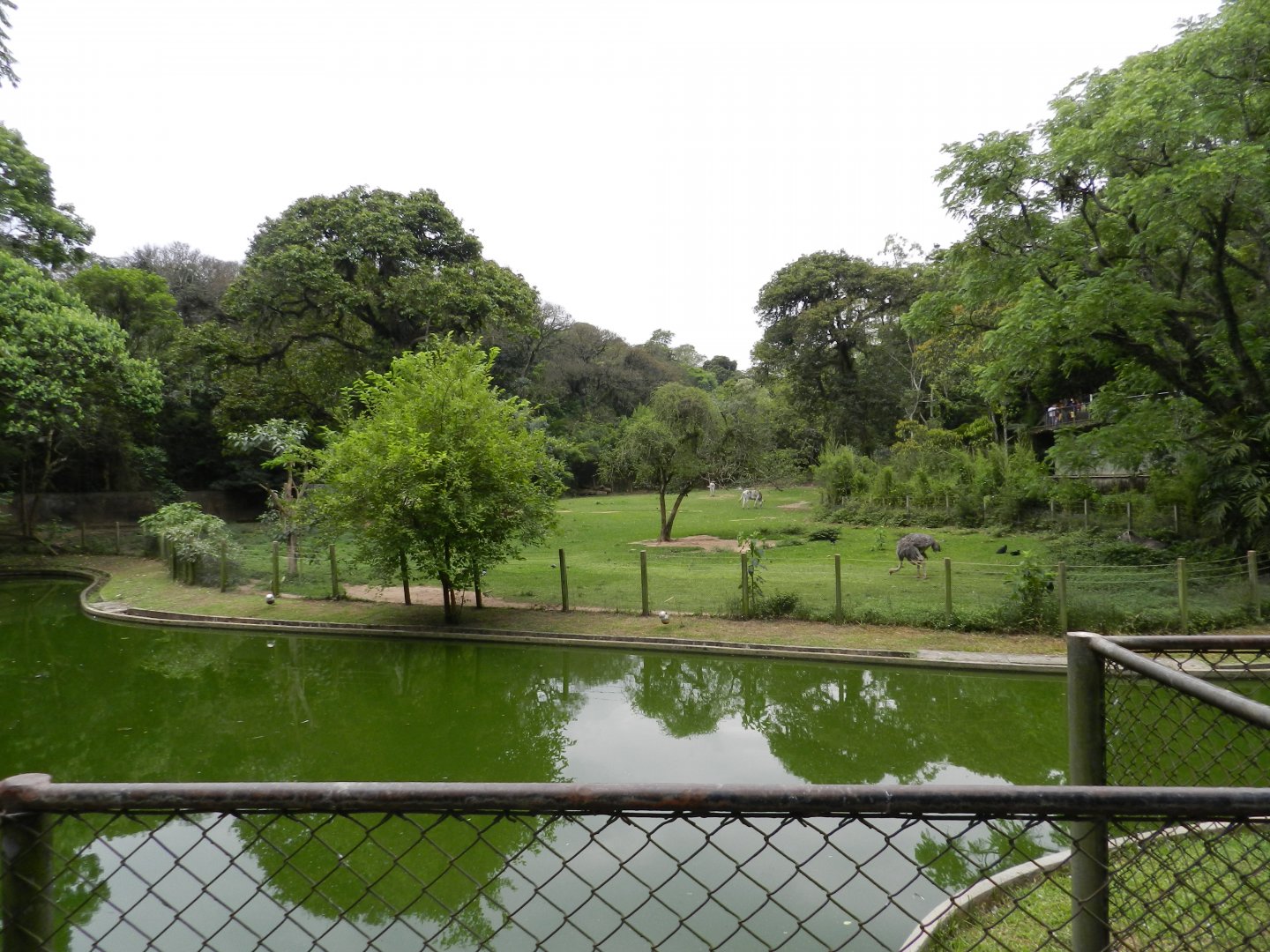 African plain exhibit - Zoo São Paulo