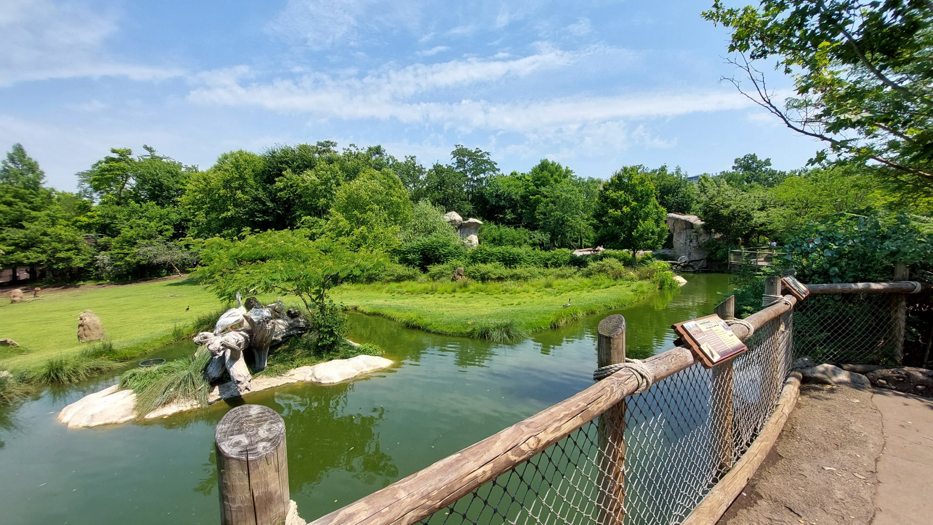 African plain overlook