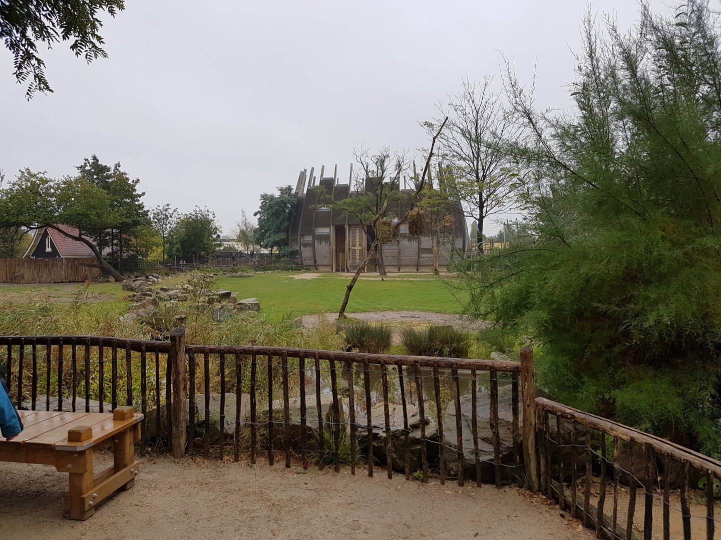 African Plain with Giraffe-house