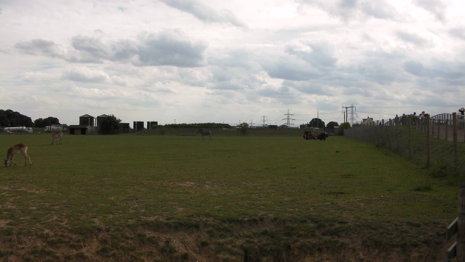 African Plains - 19.08.2011