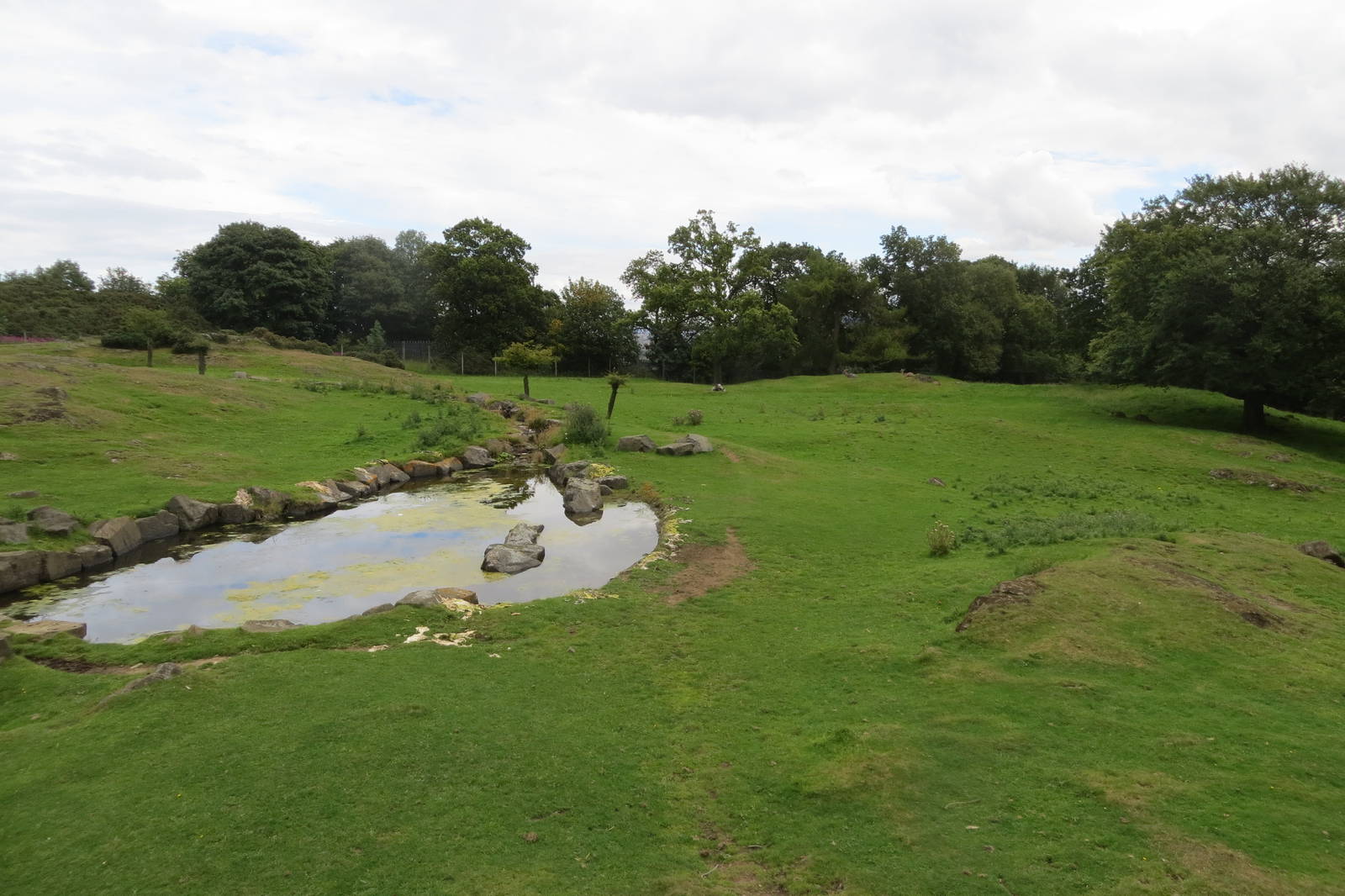 African Plains 240815