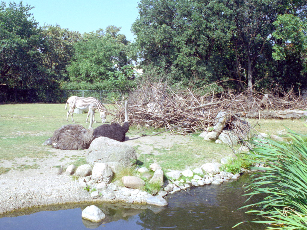 African Plains at Magdeburg 09/09/2005