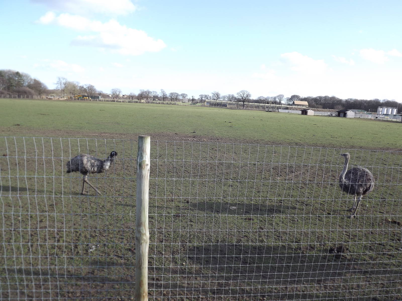 African Plains at Yorkshire Wildlife Park 18/02/12