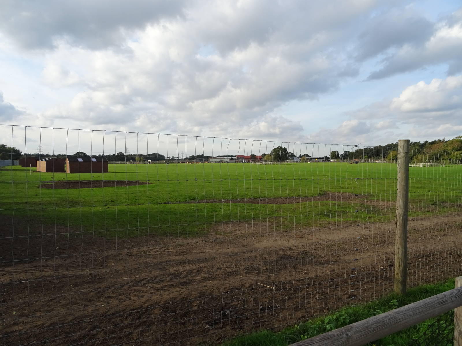 African Plains at Yorkshire Wildlife Park