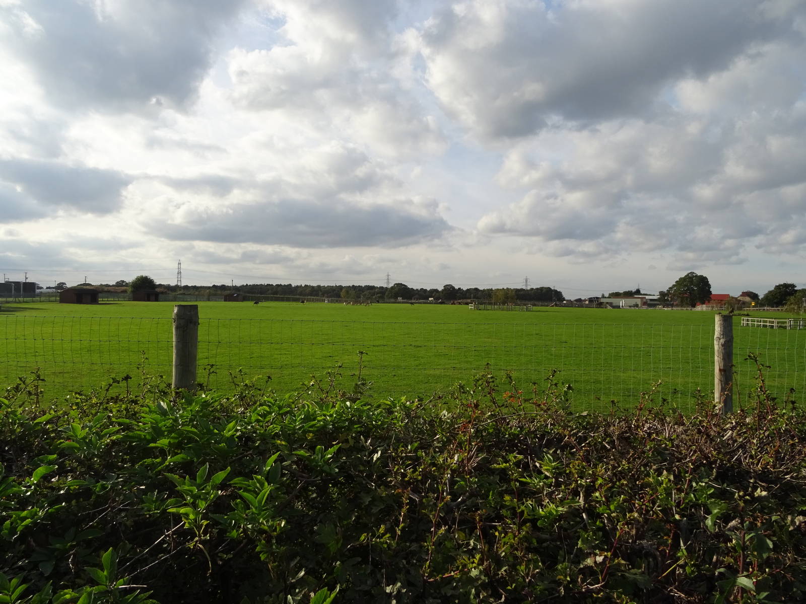 African Plains at Yorkshire Wildlife Park