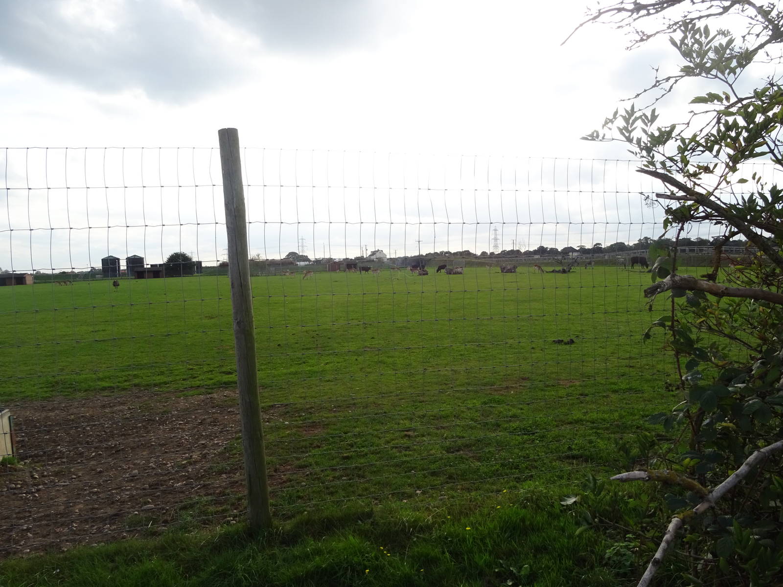 African Plains at Yorkshire Wildlife Park