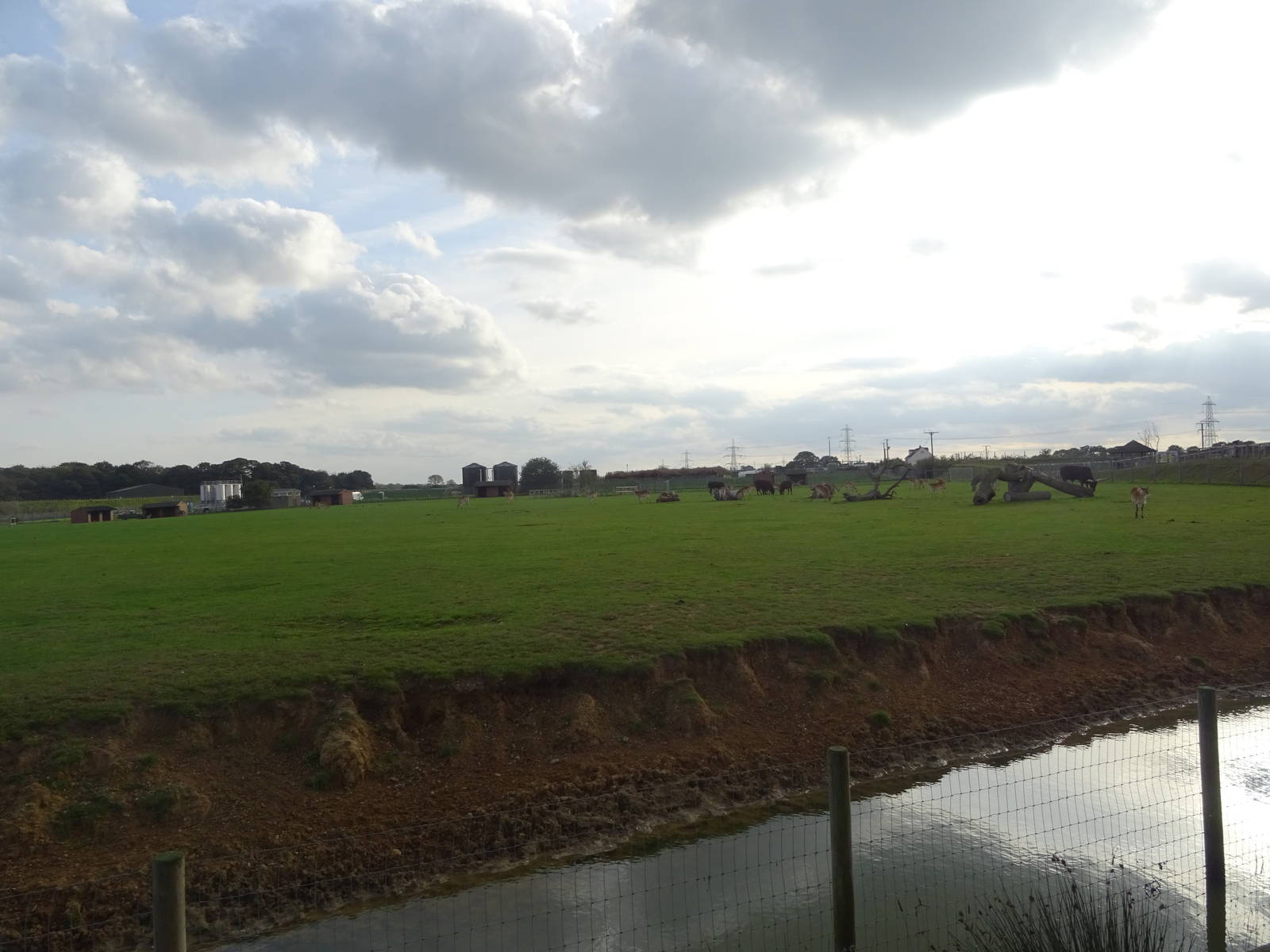 African Plains at Yorkshire Wildlife Park