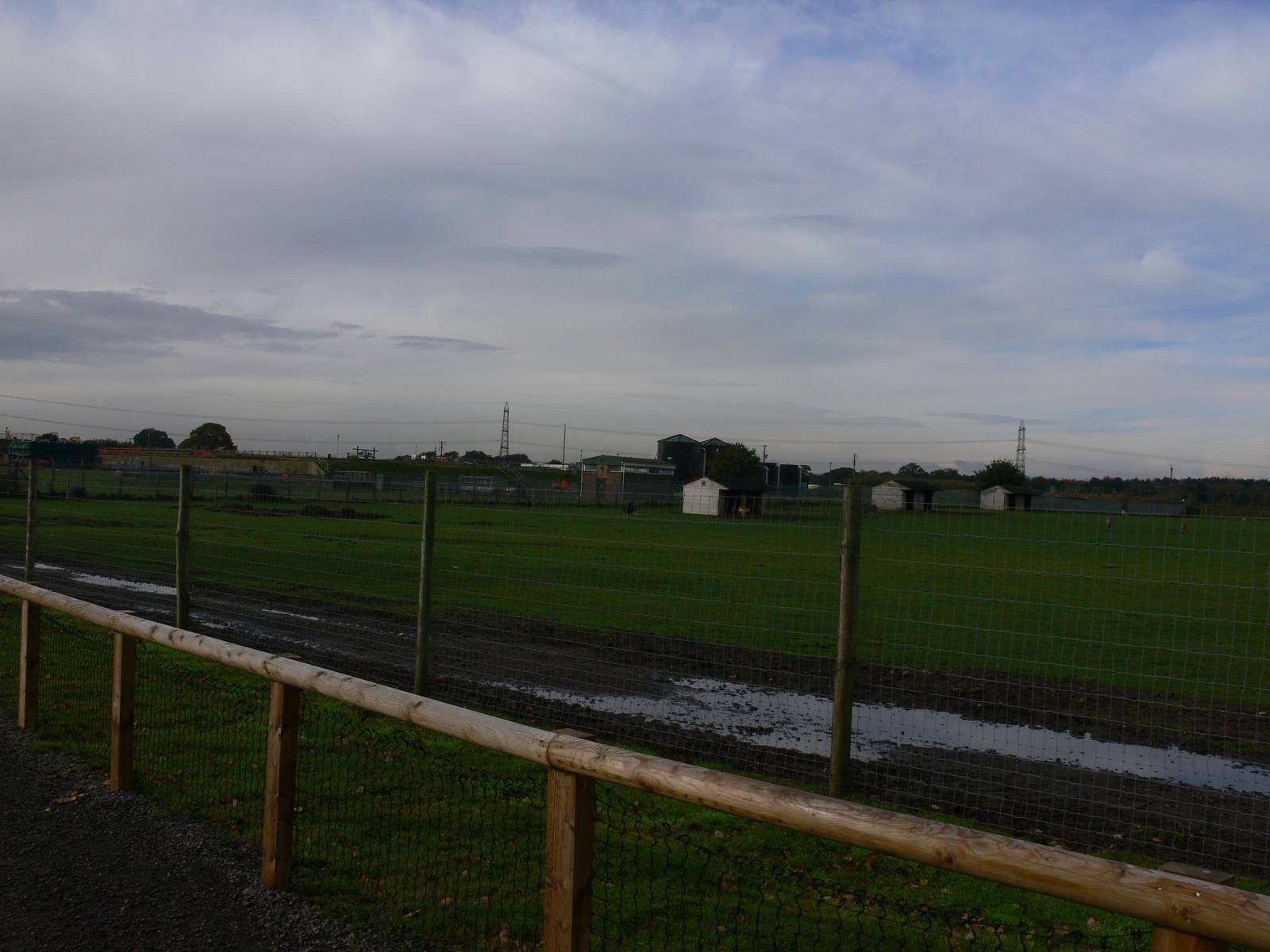 African Plains at Yorkshire WP 01/11/12
