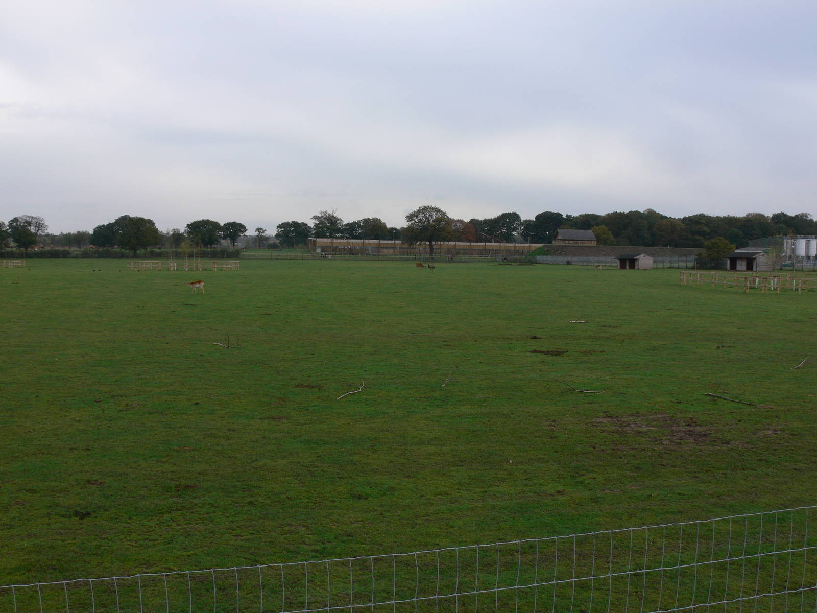 African Plains at Yorkshire WP 01/11/12