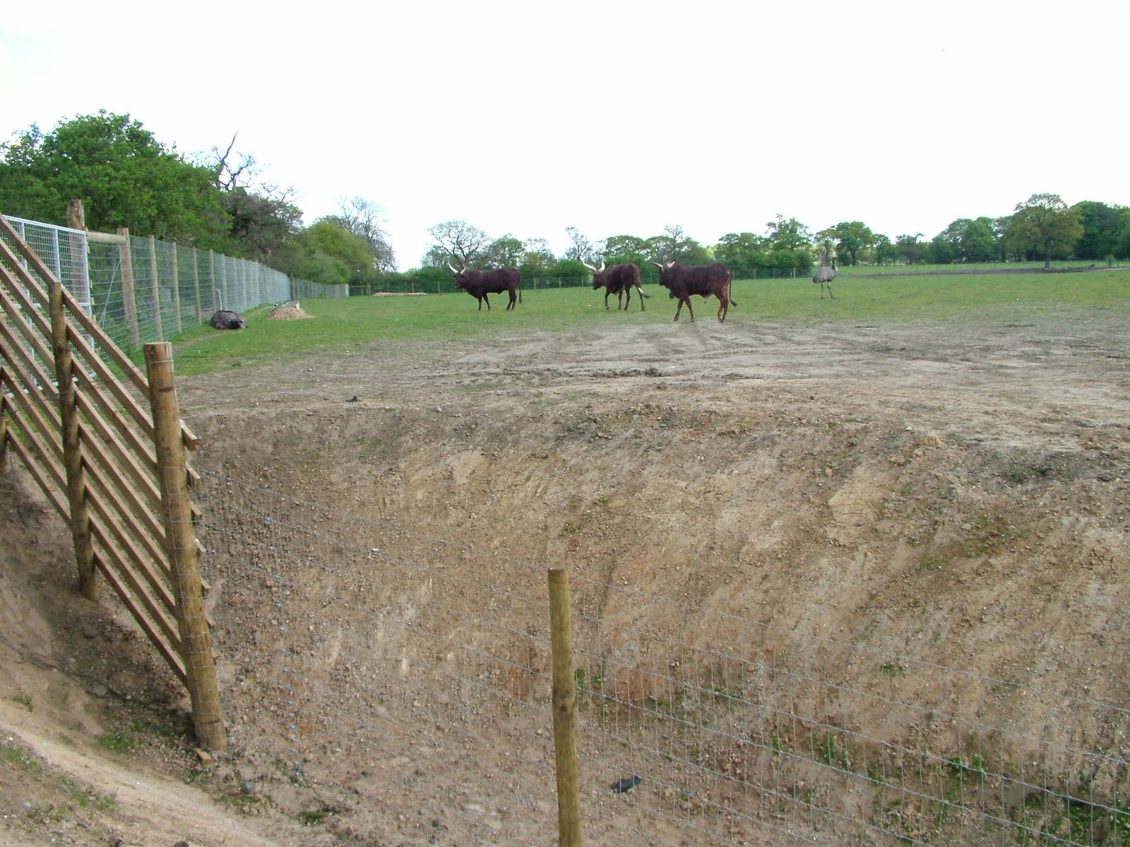 African Plains at Yorkshire WP 25/04/09