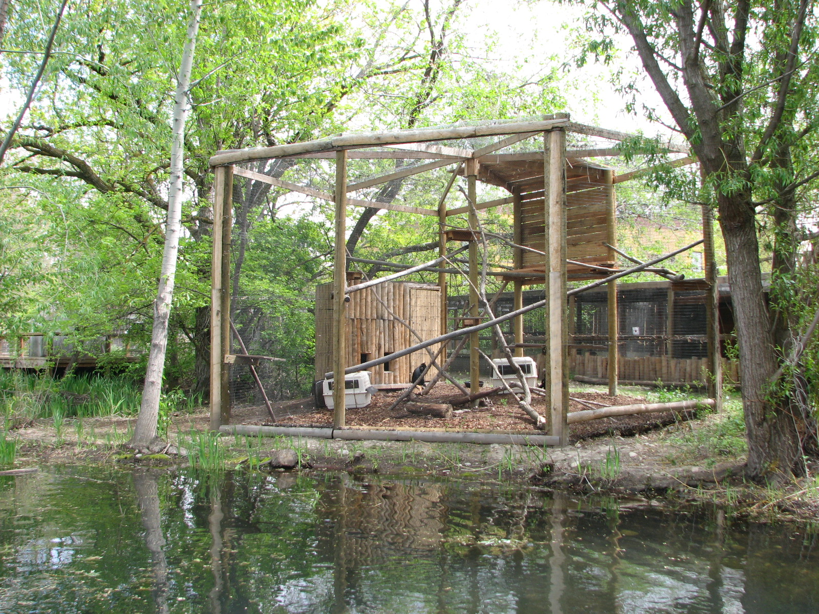 African Plains - Black Mangabey Exhibit
