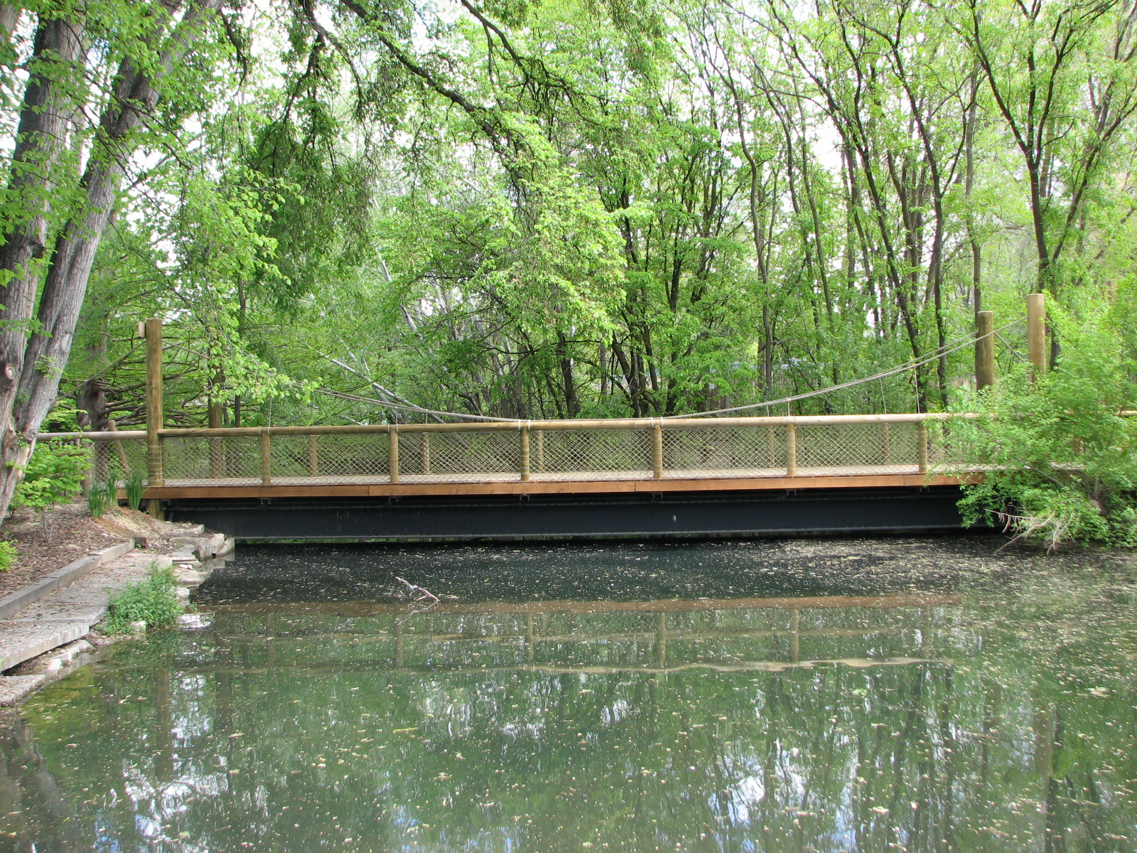 African Plains - Bridge Over Lagoon