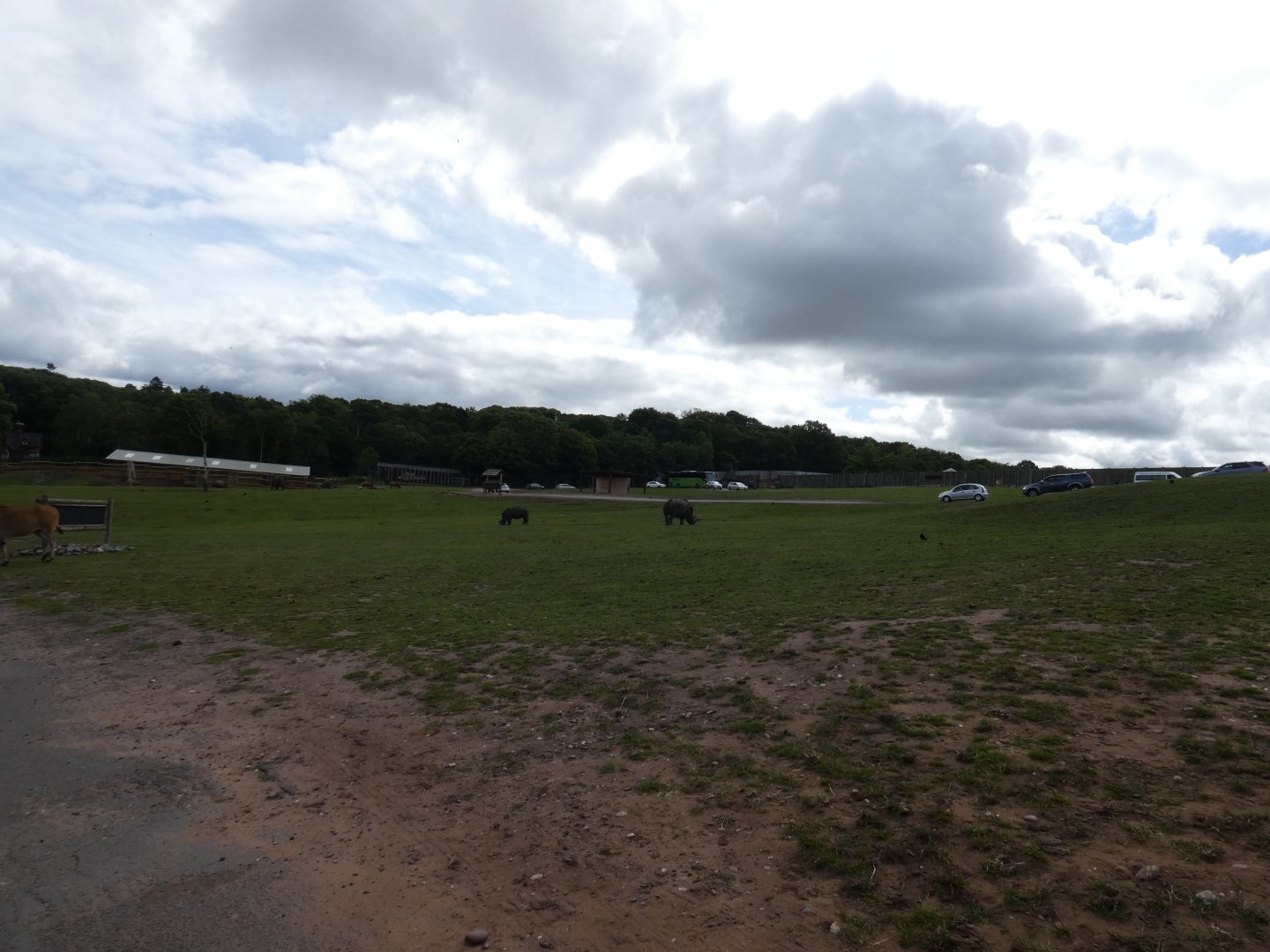 African Plains drive-through enclosure