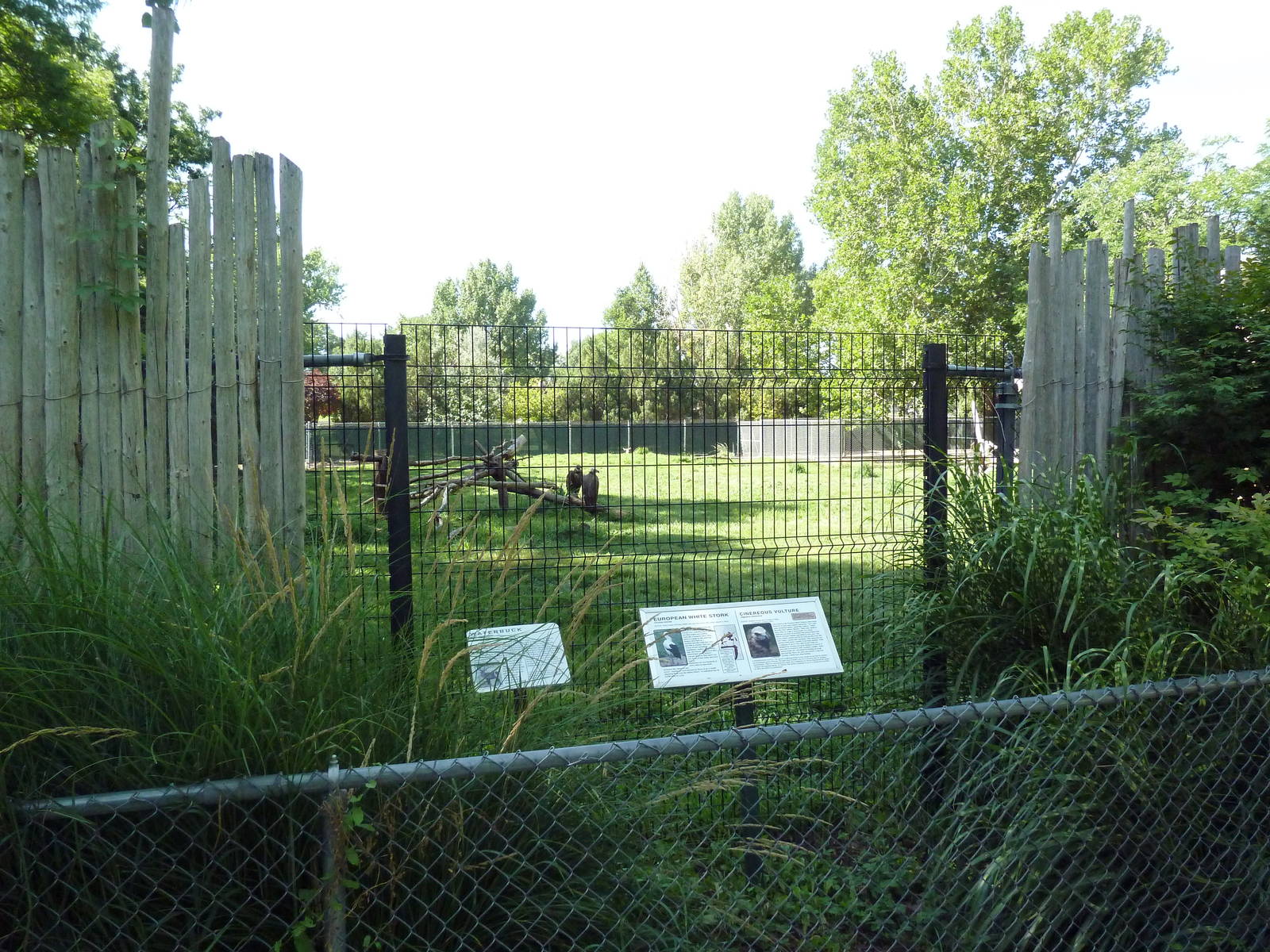 African Plains - Ellipsen Waterbuck/European White Stork/Cinereous Vulture