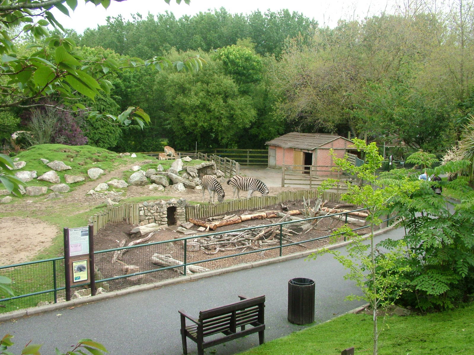 African Plains exhibit at Newquay Zoo