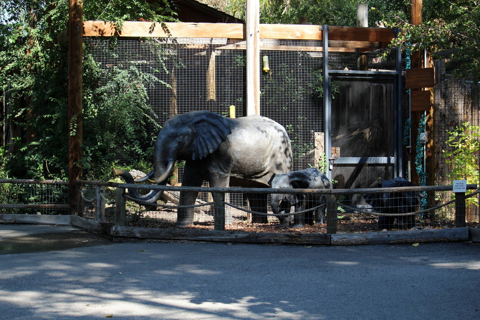 African Plains Exhibit