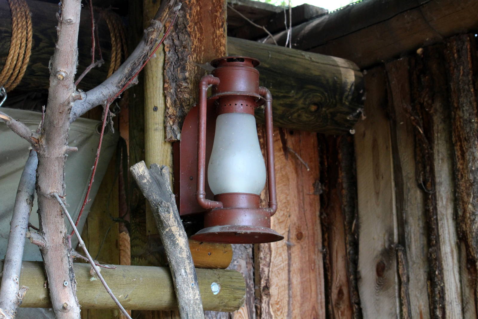 African Plains Exhibit