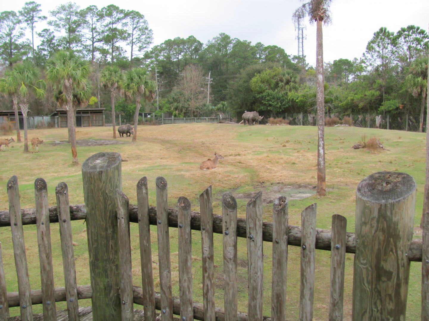 African Plains Exhibit