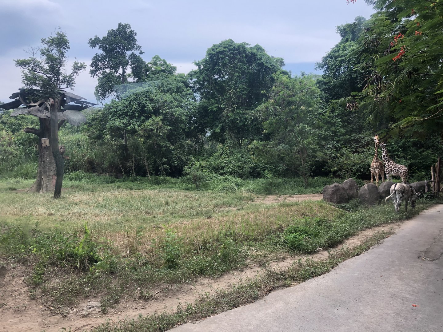 African Plains Exhibit