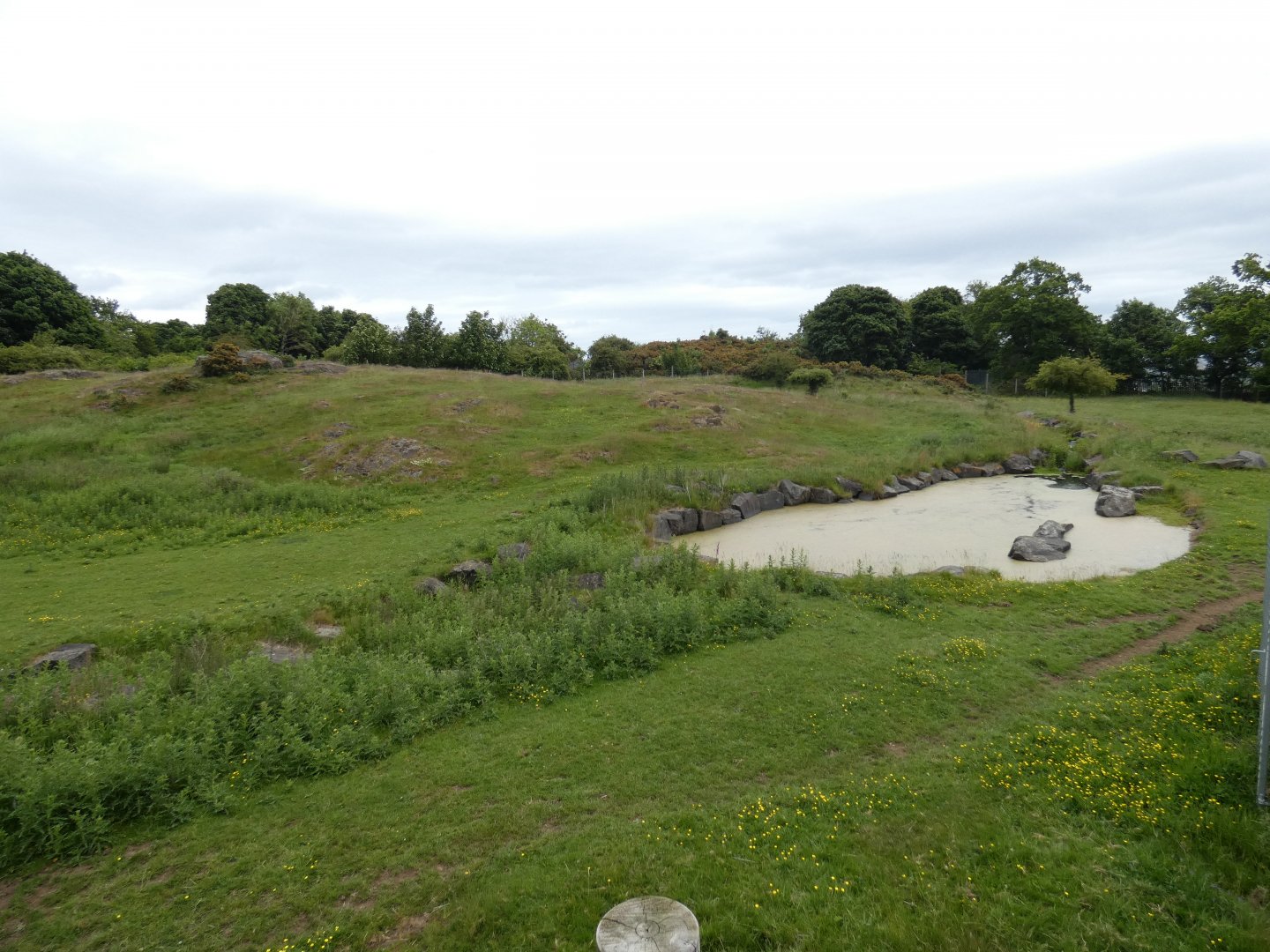 African plains exhibit