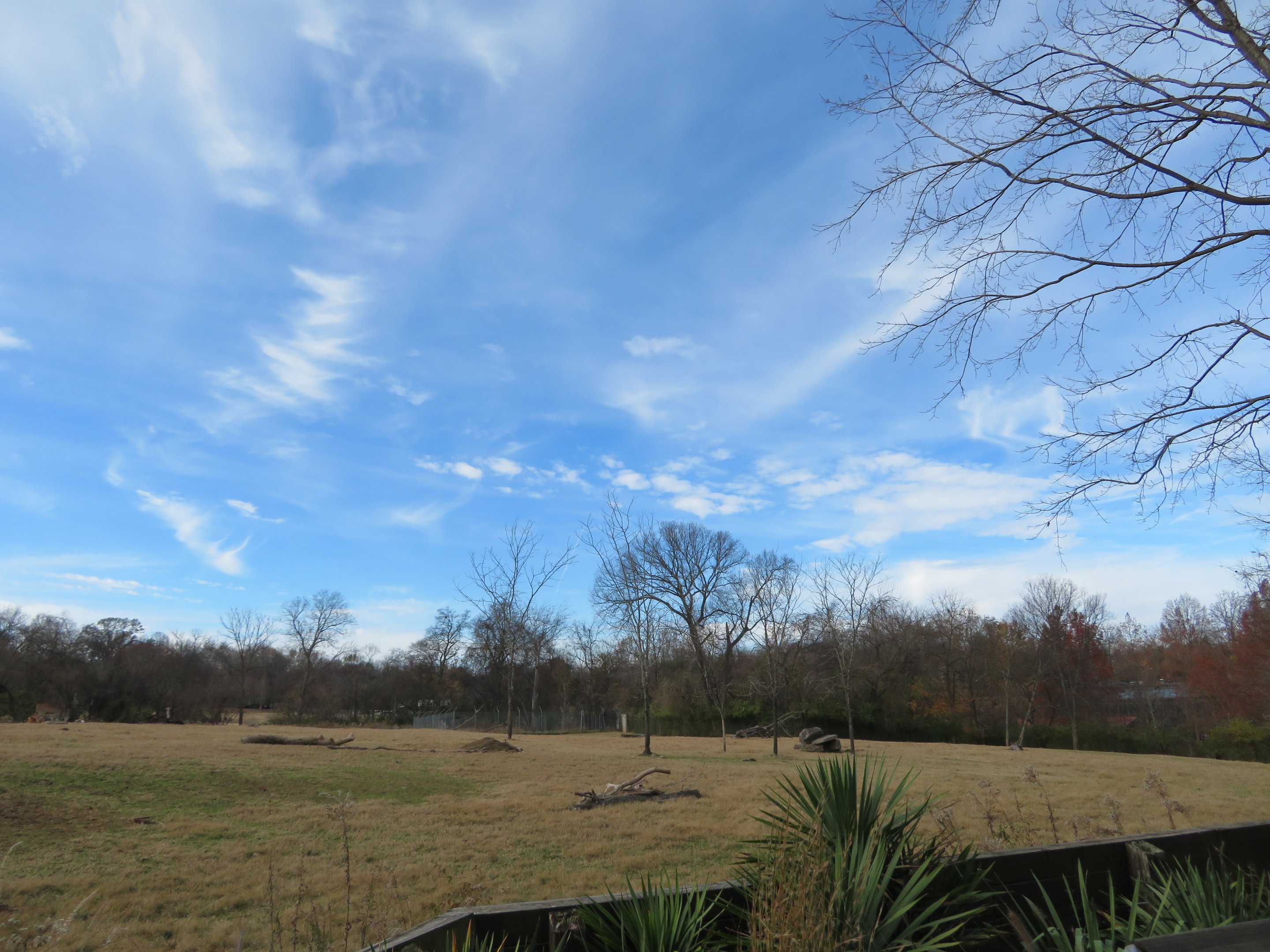African Plains Exhibit
