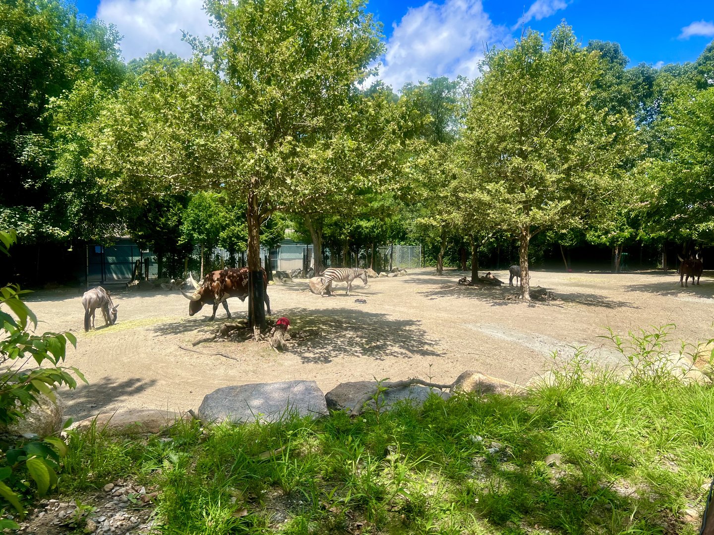 African Plains Exhibit