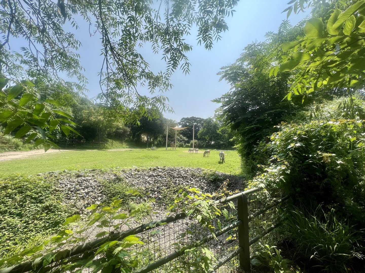 African Plains Exhibit
