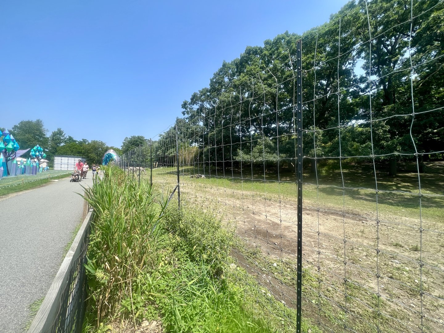 African Plains Exhibit