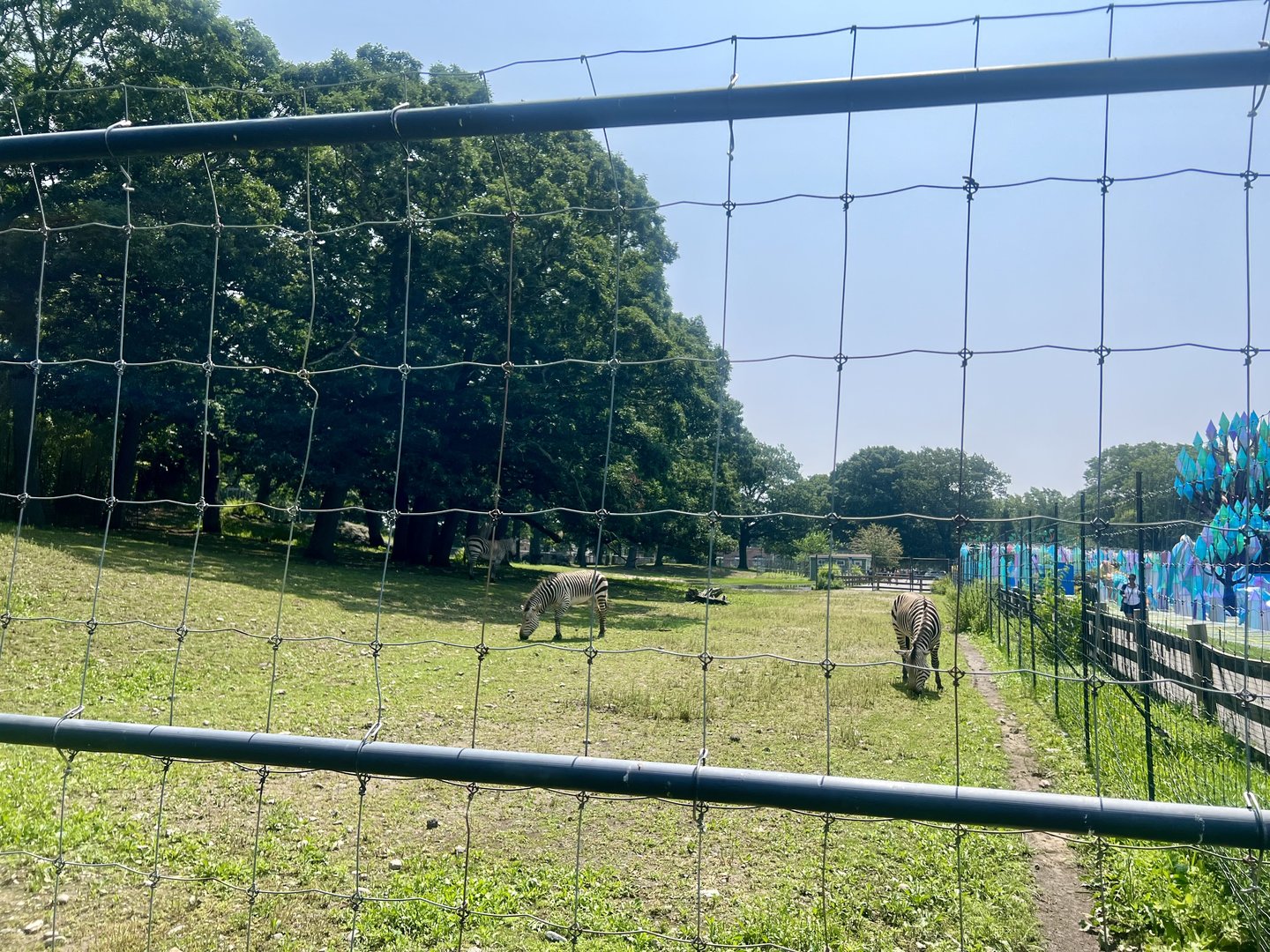 African Plains Exhibit